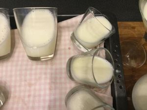 vanilias-pannacotta-eperszosszal-recept-tortaiksola-1 (4)